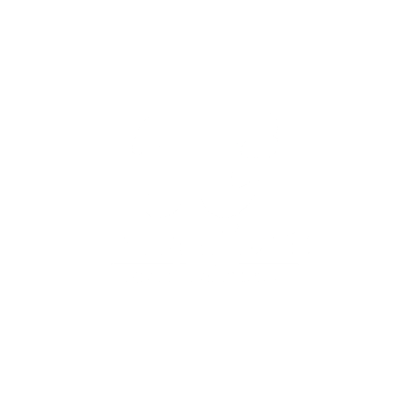 Intrepídos Bienes y Servicios